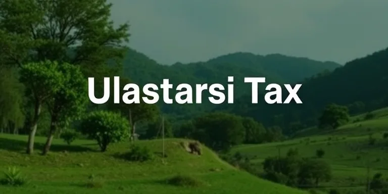 Uluslararasi Vergi Uluslararasi Vergi